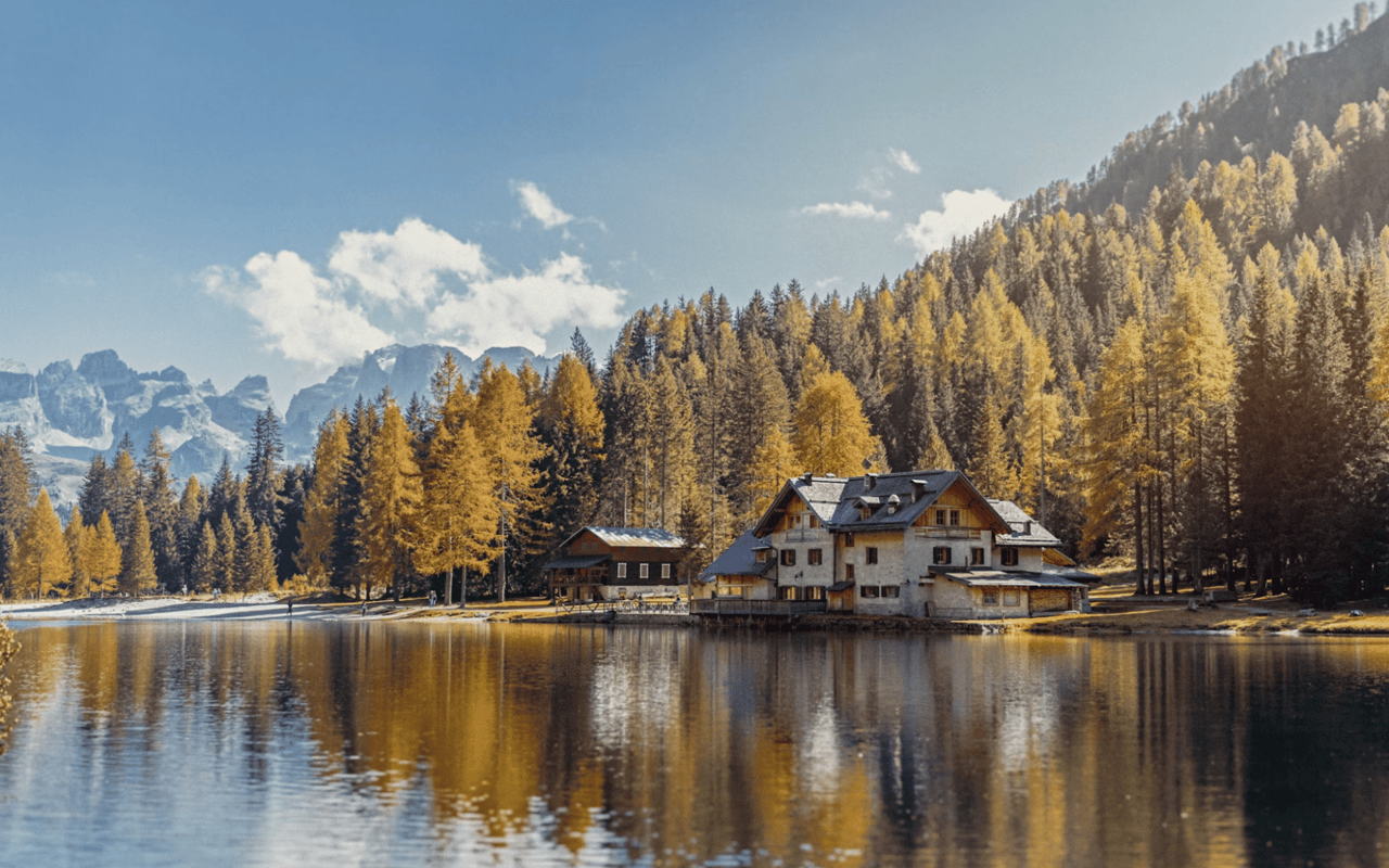 Orman ve göl manzaralı bungalov